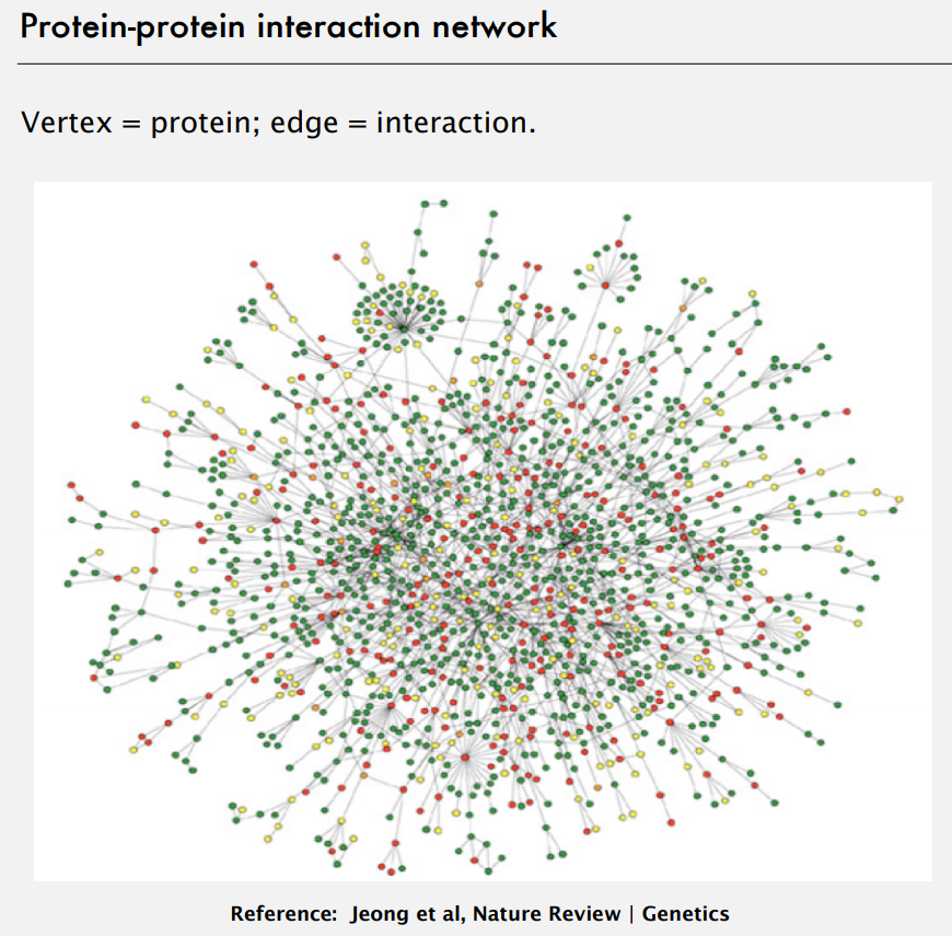 graph-protein.png