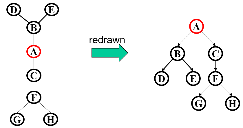 graph-tree-root1.png