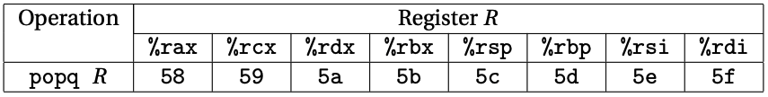 Encodings of popq instructions.